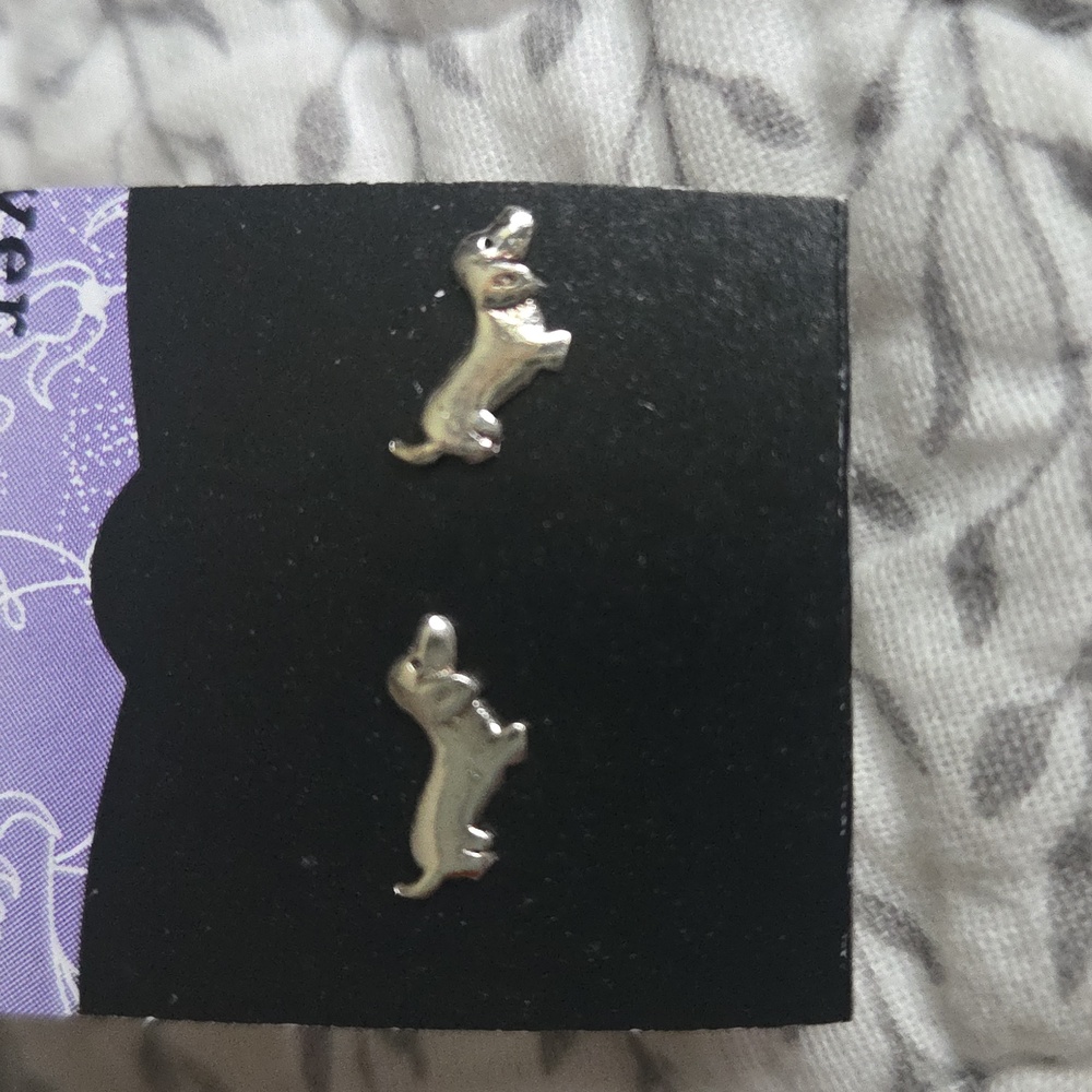 Dachshund studs